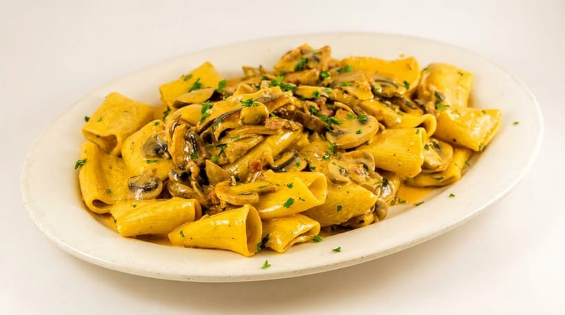 Rigatoni pasta with creamy mushroom sauce and fresh parsley on a white oval plate.